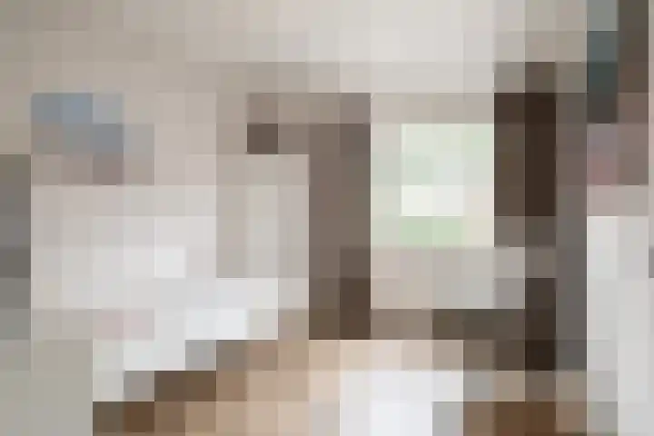 Hofkamp 224 Losser thumbnail 19