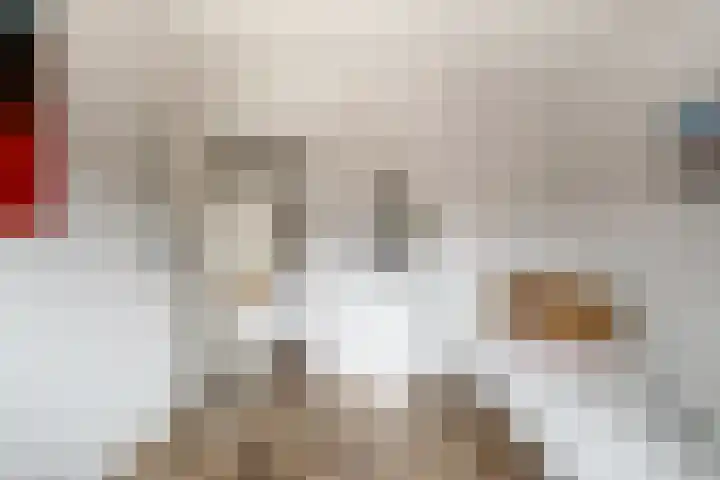 Hofkamp 224 Losser thumbnail 20