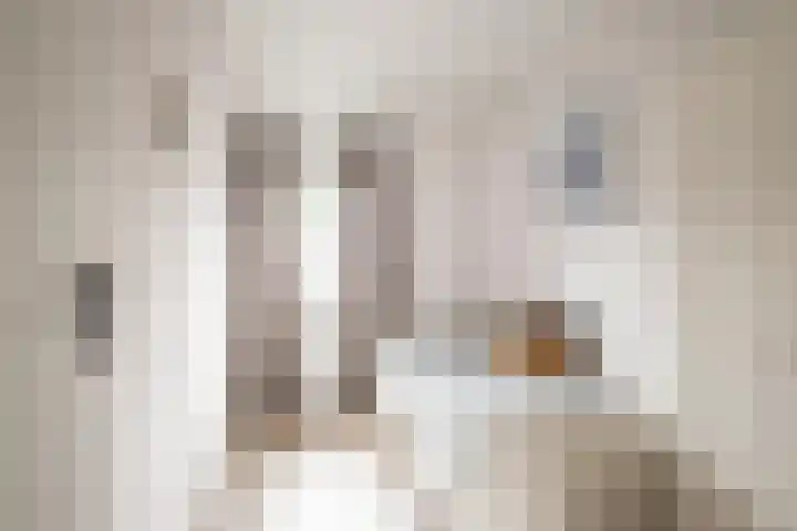Hofkamp 224 Losser thumbnail 21