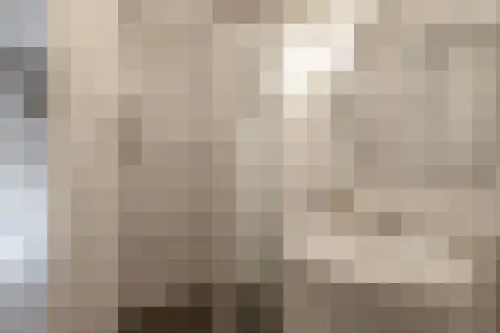 Hofkamp 224 Losser thumbnail 24