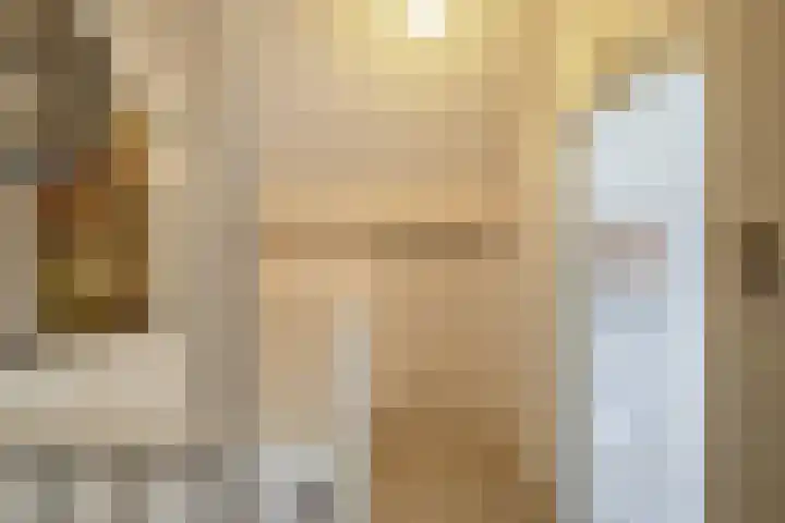 Hofkamp 224 Losser thumbnail 25