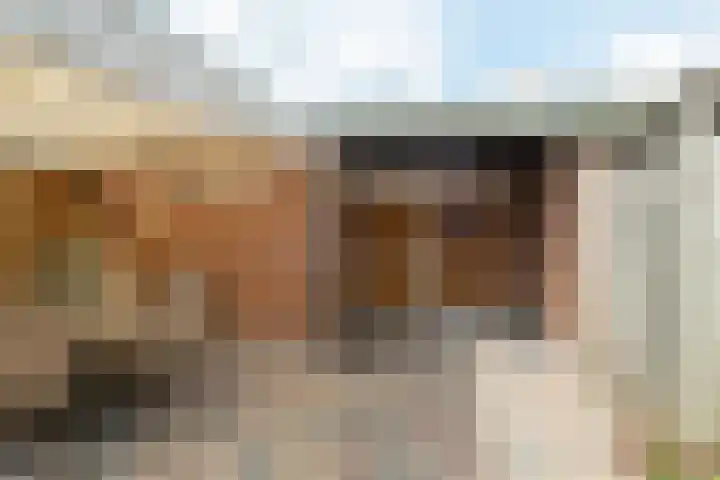 Hofkamp 224 Losser thumbnail 30