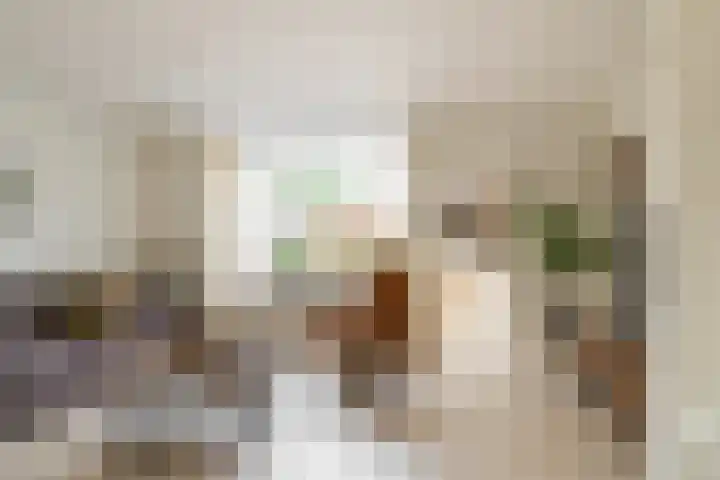 Hofkamp 224 Losser thumbnail 9