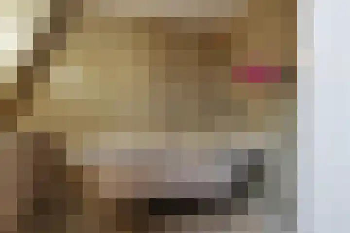 Hoflaan 101 Rotterdam thumbnail 49