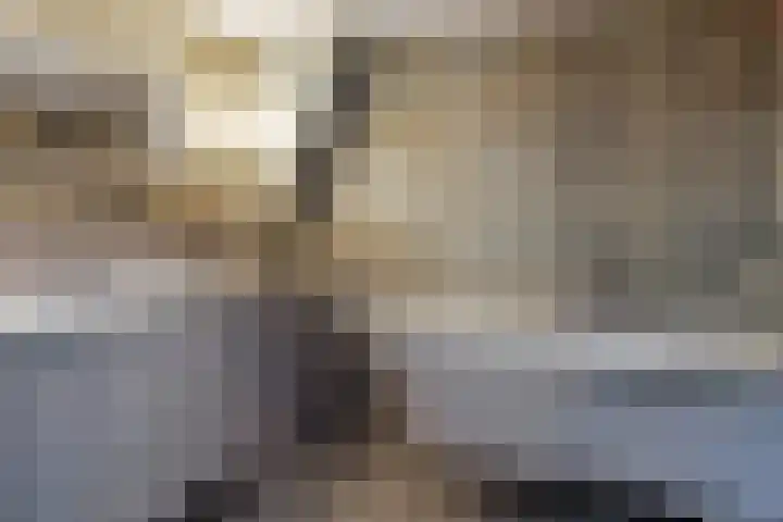 Hoflaan 101 Rotterdam thumbnail 51