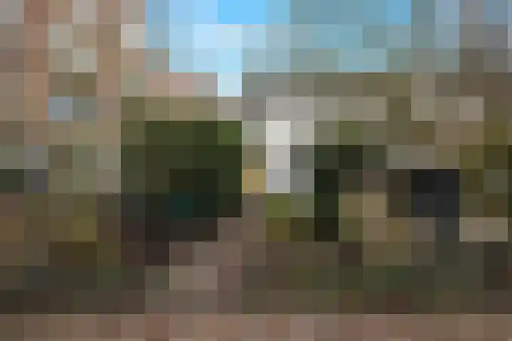 Hoflaan 101 Rotterdam thumbnail 6