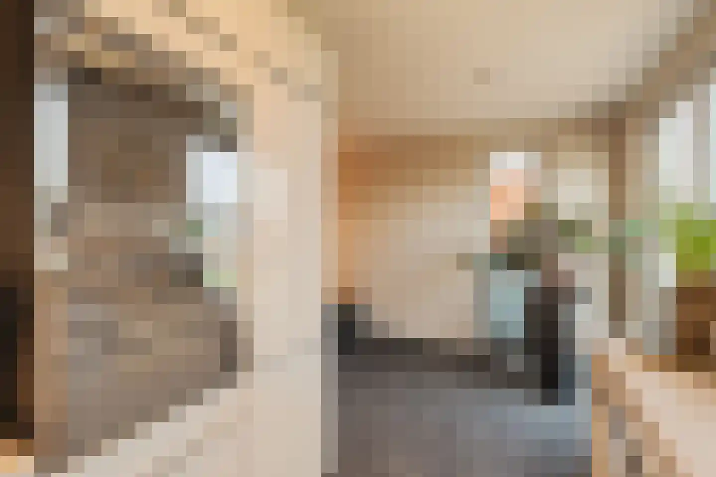 Hoflaan 25 Delft thumbnail 20