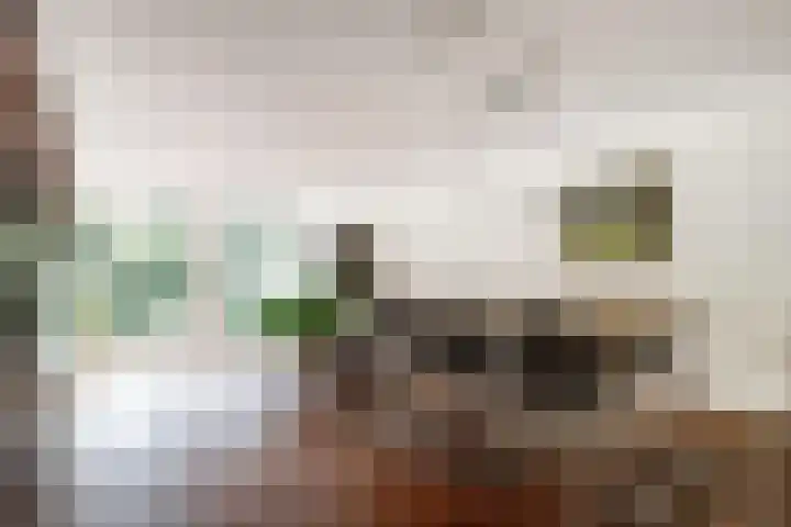 Hoflaan 25 Delft thumbnail 6
