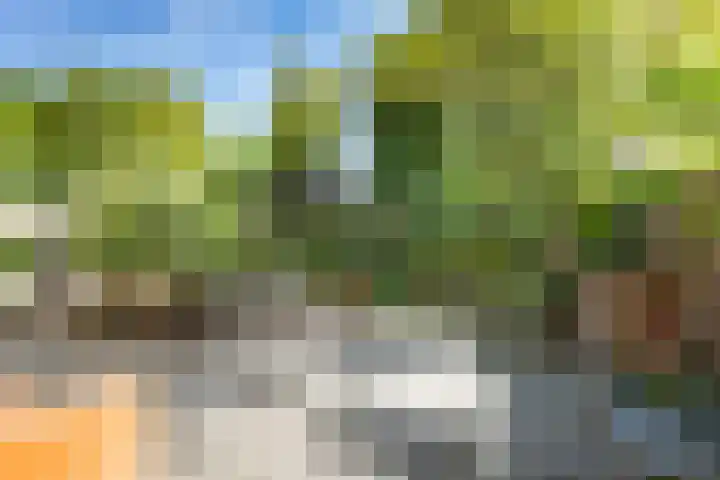 Hoflaan 27 Delft thumbnail 9