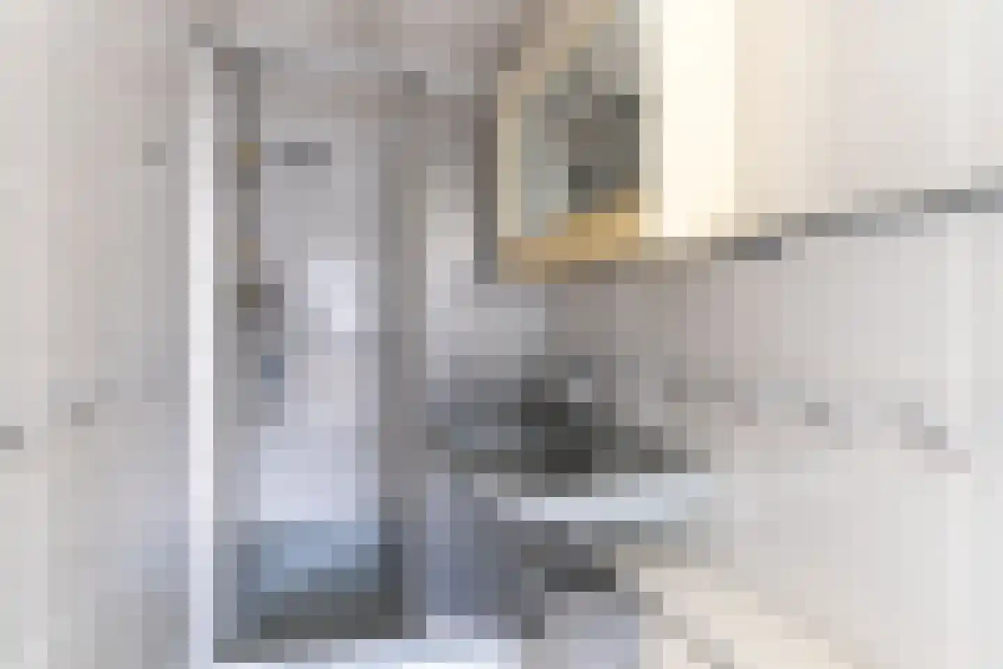 Hoflaan 3 Wassenaar thumbnail 23