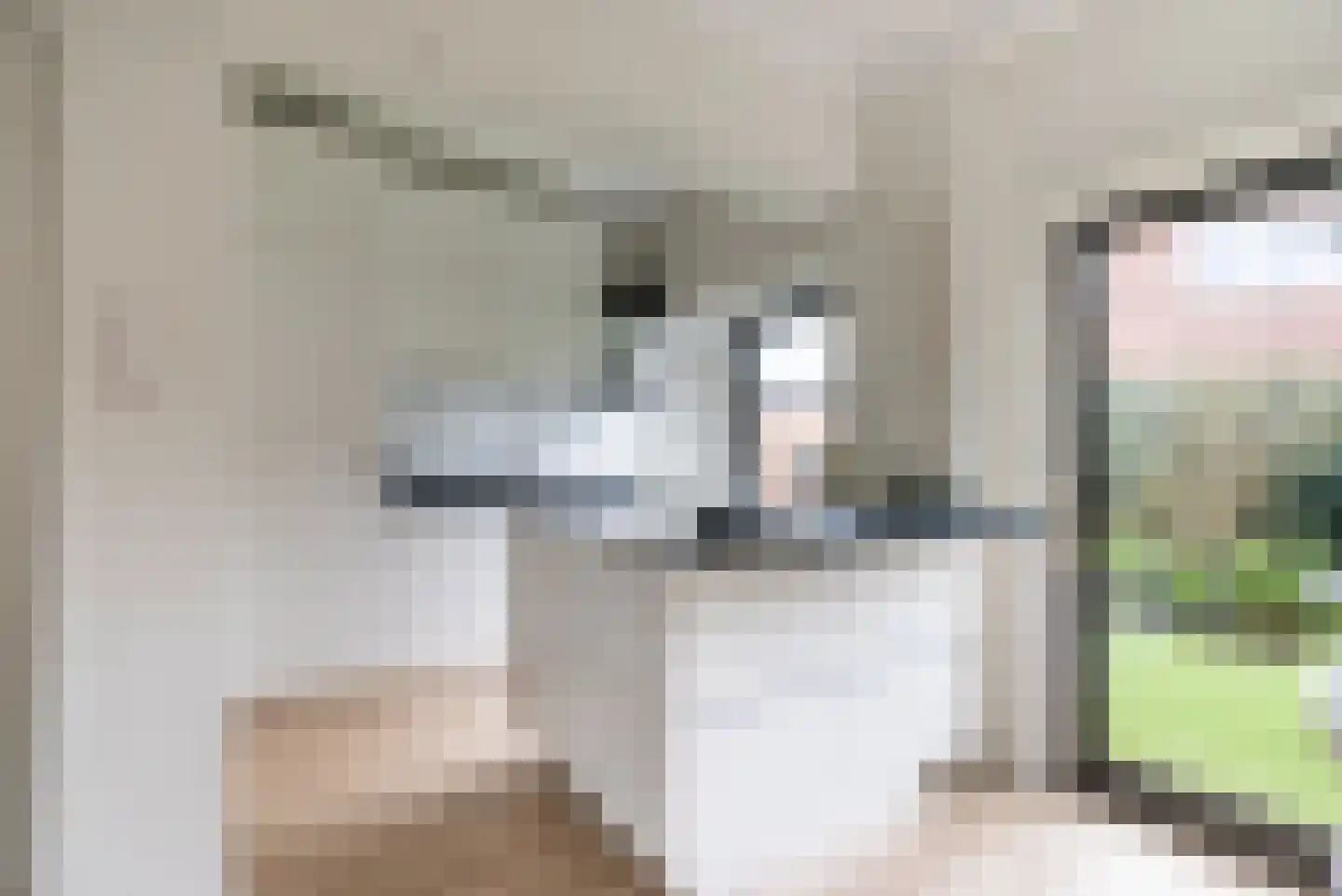 Hoflaan 3 Wassenaar thumbnail 7
