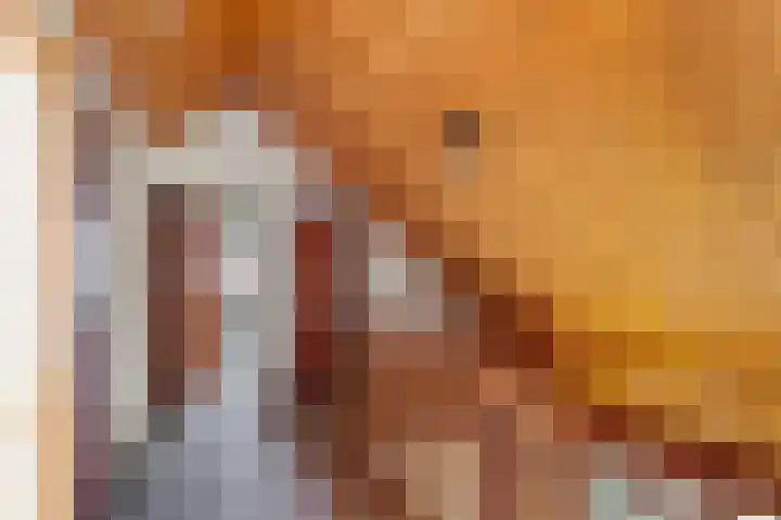 Hoflaan 5 Monster thumbnail 22