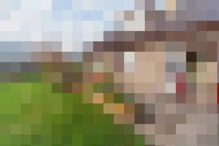 Hoflaan 5 Monster thumbnail 32