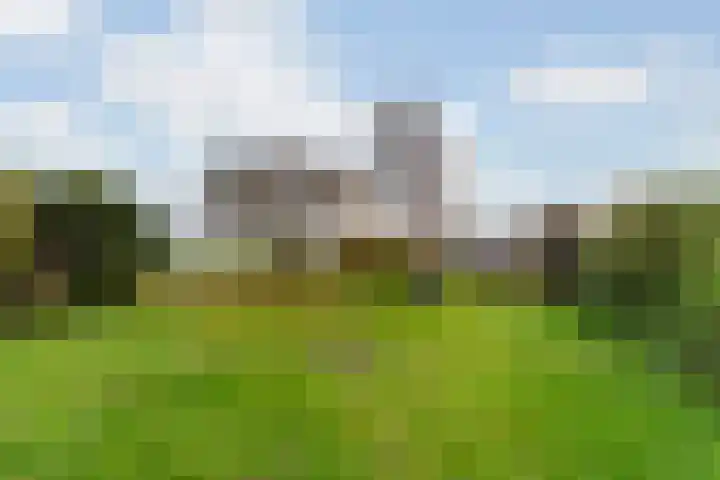 Hoflaan 5 Monster thumbnail 33