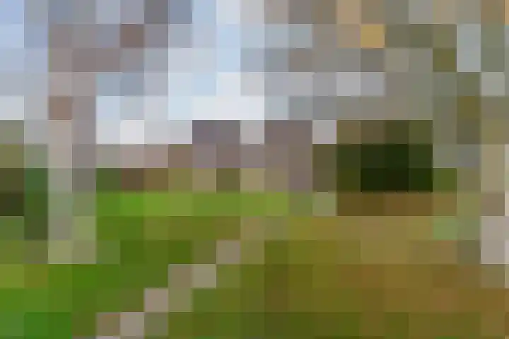 Hoflaan 5 Monster thumbnail 35