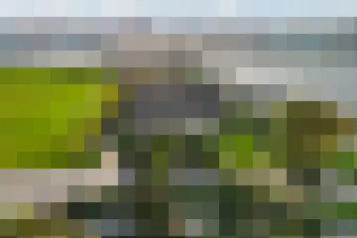 Hoflaan 5 Monster thumbnail 4