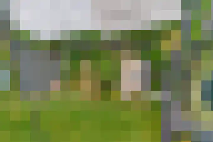 Hoflaan 5 Monster thumbnail 6