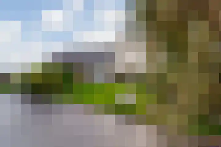 Hoflaan 5 Monster thumbnail 8