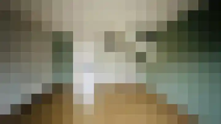 Hoflandendreef 215 Delft thumbnail 7