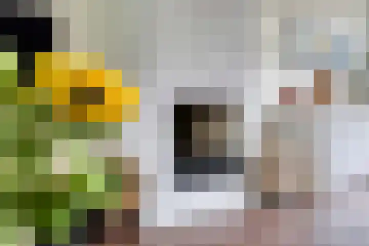 Hoflandstraat 7 Pijnacker thumbnail 10