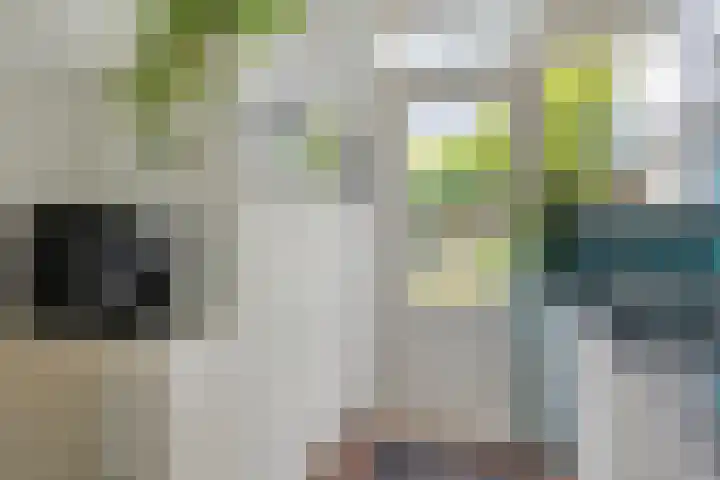 Hoflandstraat 7 Pijnacker thumbnail 14