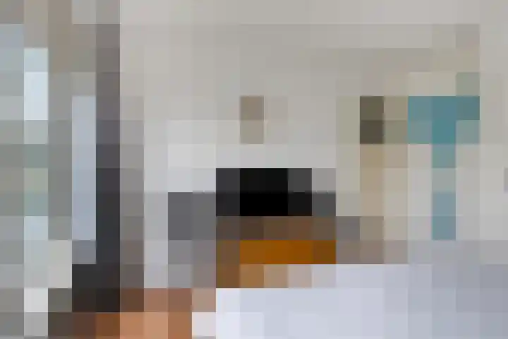 Hoflandstraat 7 Pijnacker thumbnail 16