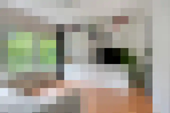 Hoflandstraat 7 Pijnacker thumbnail 22