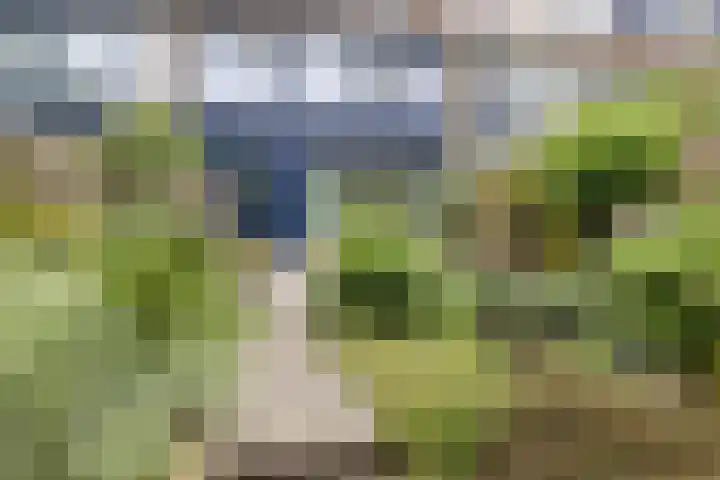 Hoflandstraat 7 Pijnacker thumbnail 28