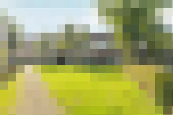 Hofmark 301 Almere thumbnail 56