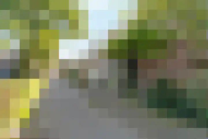 Hofmark 301 Almere thumbnail 59