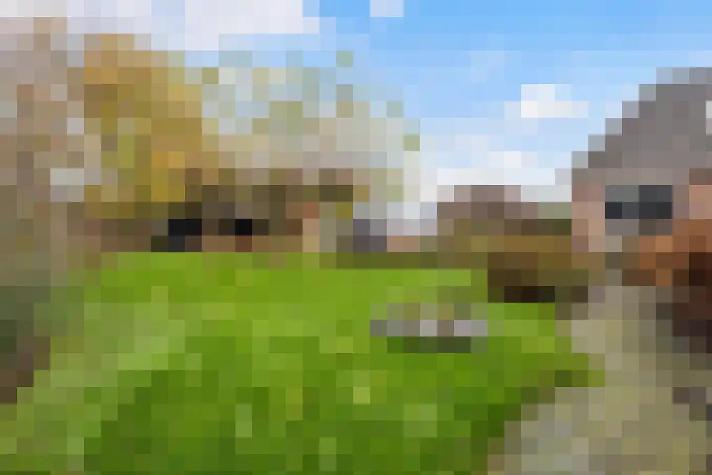 Hôfsleane 40 Berltsum thumbnail 47