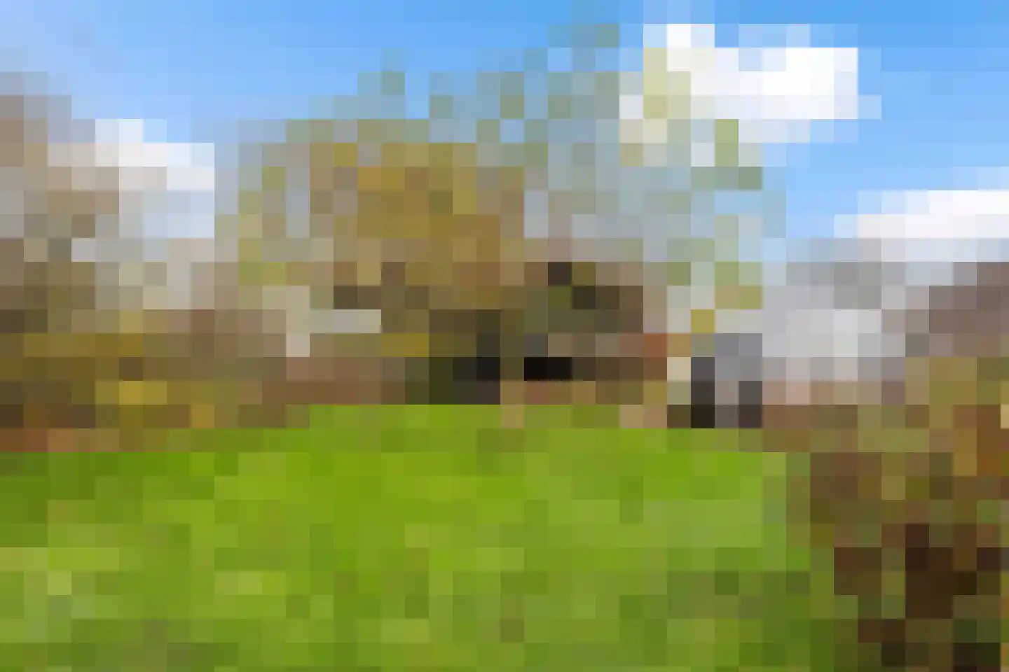 Hôfsleane 40 Berltsum thumbnail 49