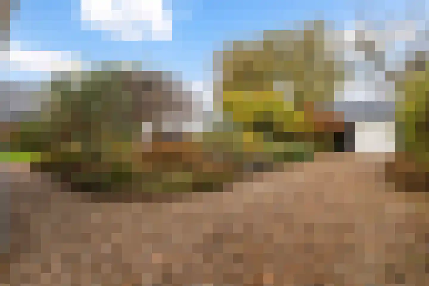 Hôfsleane 40 Berltsum thumbnail 53