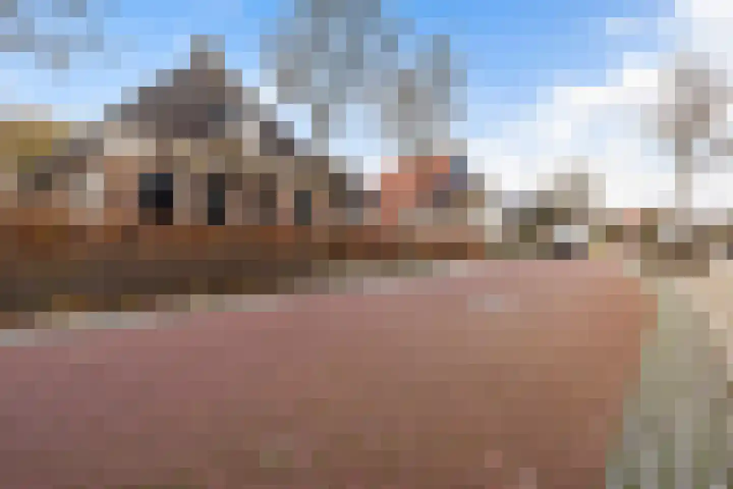 Hôfsleane 40 Berltsum thumbnail 60