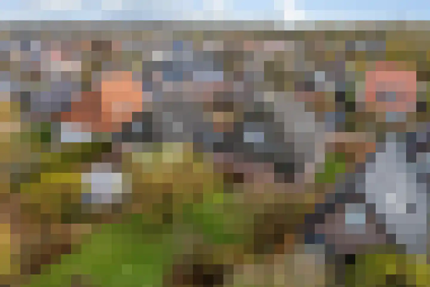 Hôfsleane 40 Berltsum thumbnail 61