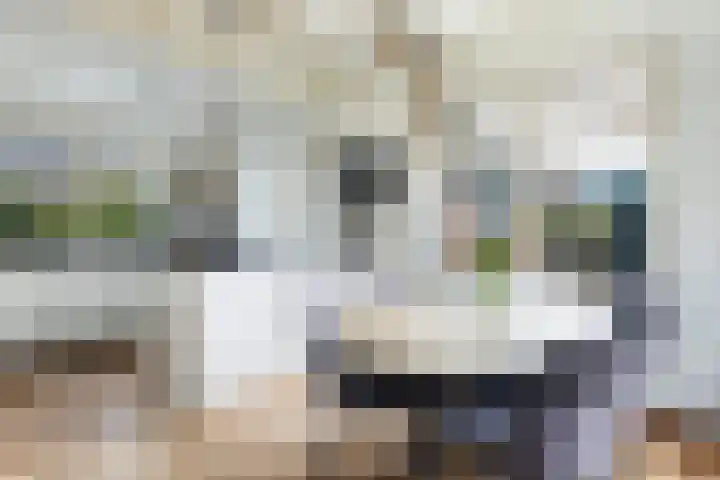 Hôfsleane 73 Berltsum thumbnail 15