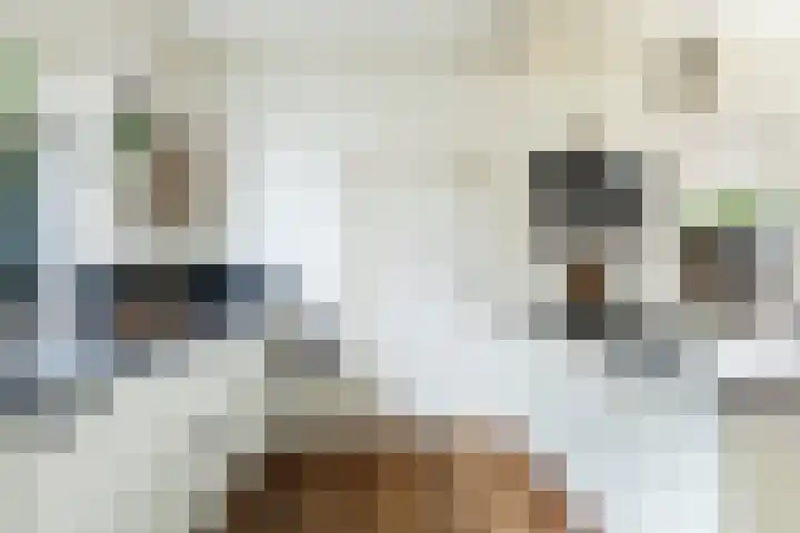 Hôfsleane 73 Berltsum thumbnail 17