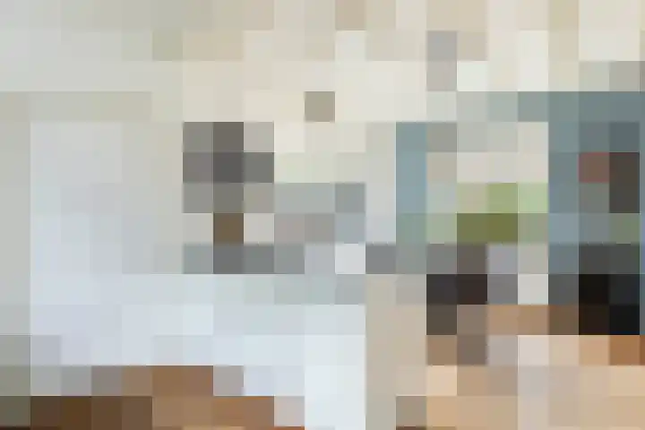 Hôfsleane 73 Berltsum thumbnail 18