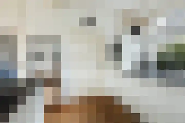 Hôfsleane 73 Berltsum thumbnail 19