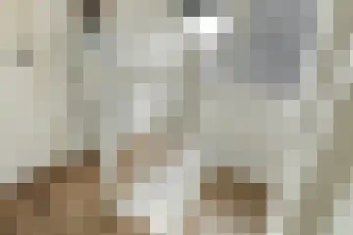 Hôfsleane 73 Berltsum thumbnail 20