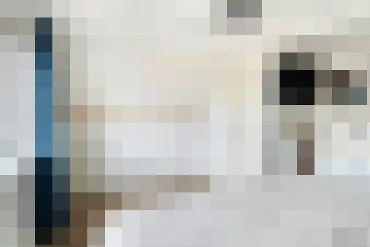 Hôfsleane 73 Berltsum thumbnail 32