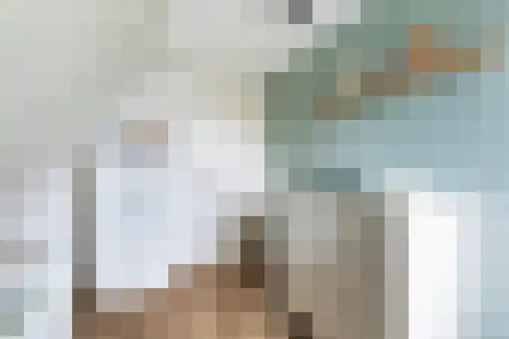 Hôfsleane 73 Berltsum thumbnail 34