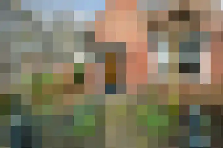 Hôfsleane 73 Berltsum thumbnail 4