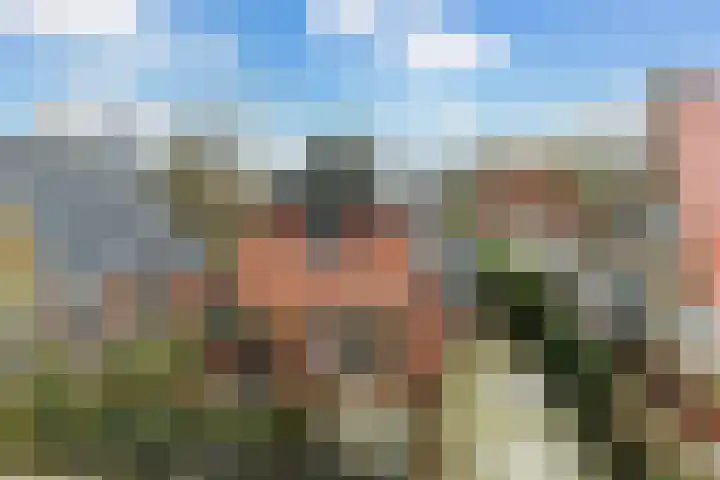 Hôfsleane 73 Berltsum thumbnail 48