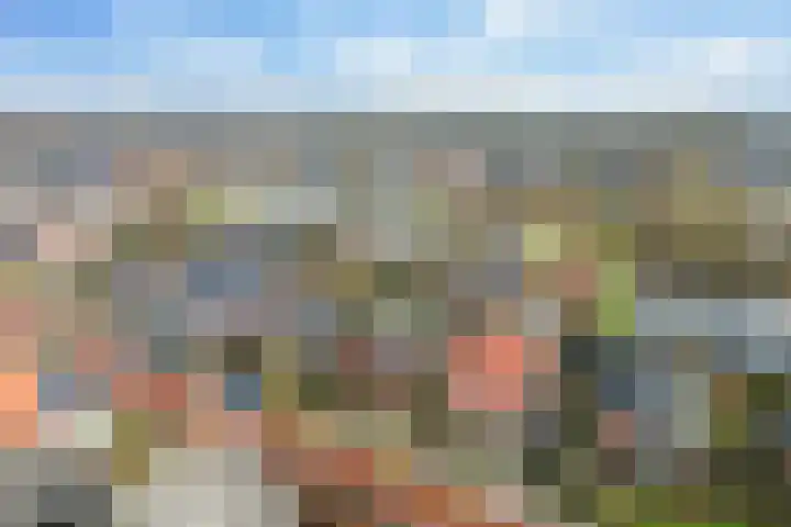 Hôfsleane 73 Berltsum thumbnail 50
