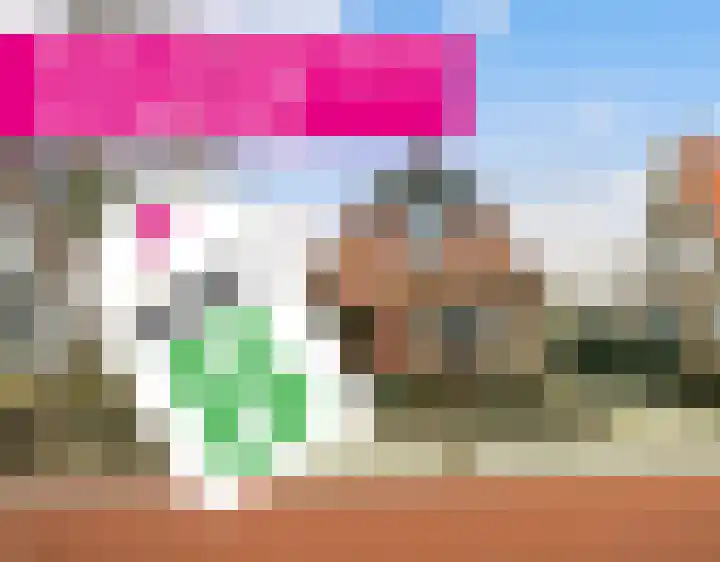Hôfsleane 73 Berltsum thumbnail 54