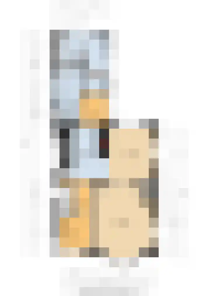 Hôfsleane 73 Berltsum thumbnail 57