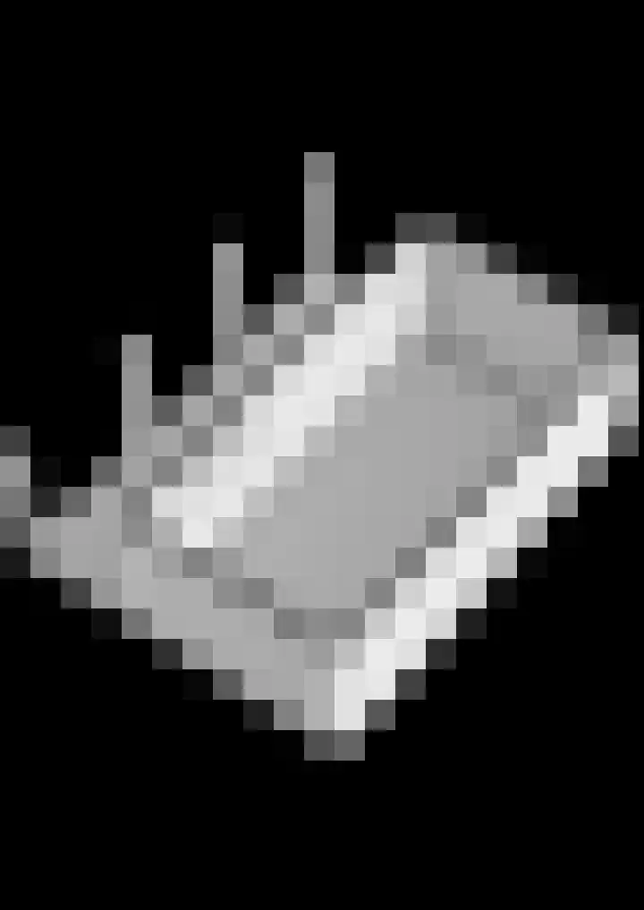 Hôfsleane 73 Berltsum thumbnail 66
