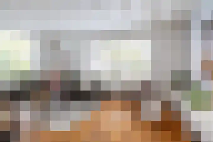 Hofstad 1 Bladel thumbnail 12