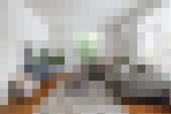 Hofstad 1 Bladel thumbnail 14